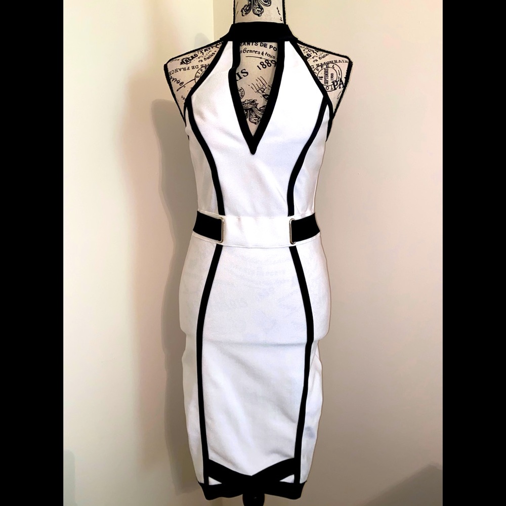 Sexy Bodycon Dress with Net Back